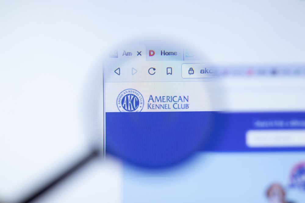 Editorial: November 8, 2024